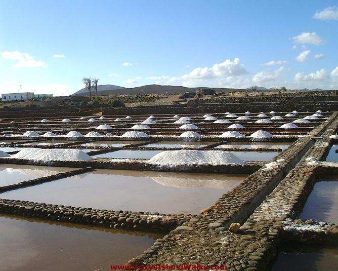 saltpans4-las-salinas.jpg